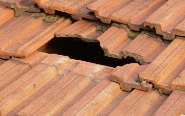 roof repair Henleys Down, East Sussex